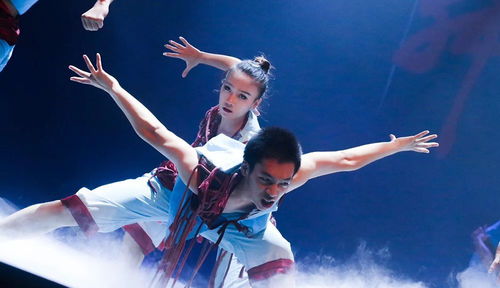 精品纷呈 视觉盛宴 章云燕名家工作室舞蹈作品展演燃情舞动