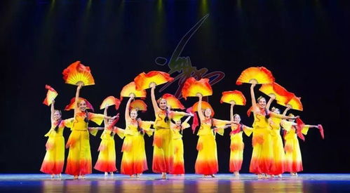 百花齐放春满园——曹妃甸文化惠民活动异彩纷呈